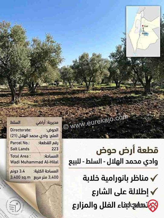 قطعة ارض مساحة 3 دونم و 400م للبيع في السلط 
