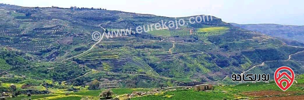 ارض مميزة جدا مساحة 991م للبيع في عمان - ناعور/منطقة فلل وقصور 