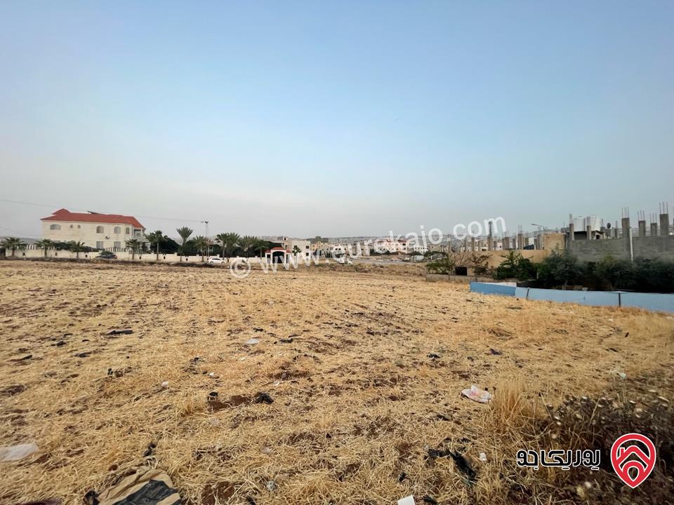 قطعة ارض مساحة 1 دونم للبيع في عمان - عين الباشا