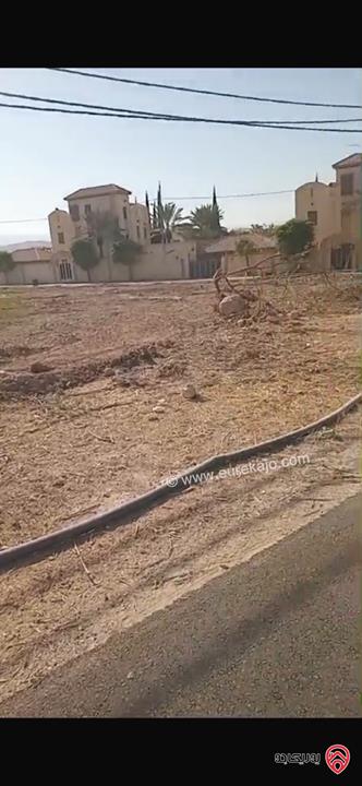 ارض مساحة 1 دونم و 904م للبيع في البلقاء - الشونة الجنوبية