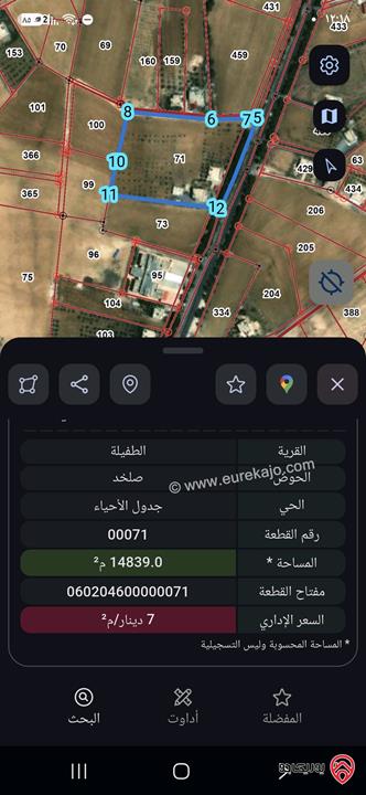 ارض مساحة 2 دونم للبيع في الطفيلة - صلخد