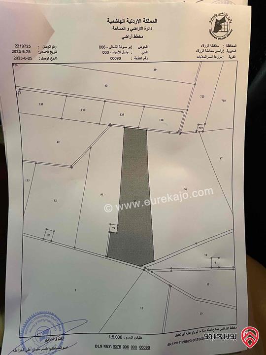 قطعة أرض مساحة 82 دونم للبيع في الزرقاء - قصر الحلابات الشرقي