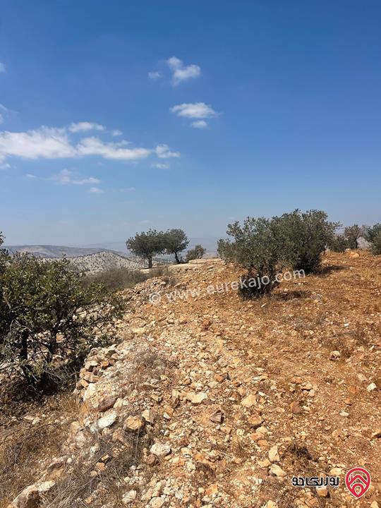 قطعة ارض مساحة 13 دونم و 800م للبيع في اربد - ملكا السهل الجواني