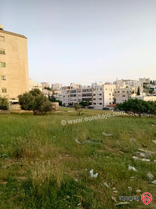 أرض مساحة 1 دونم للبيع في عمان - مرج الحمام حوض الحجار
