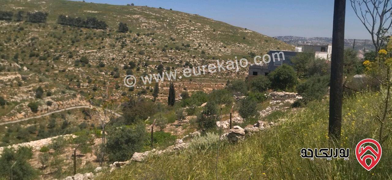 ارض مساحة 4 دونم و 332م للبيع في السلط المزود 