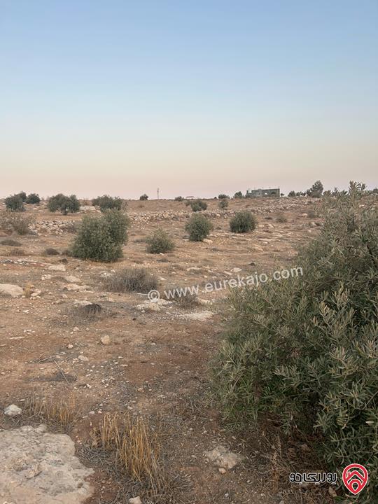 قطعة أرض مساحة 6 دونم للبيع من أراضي جنوب عمان - دليلة الحمايده