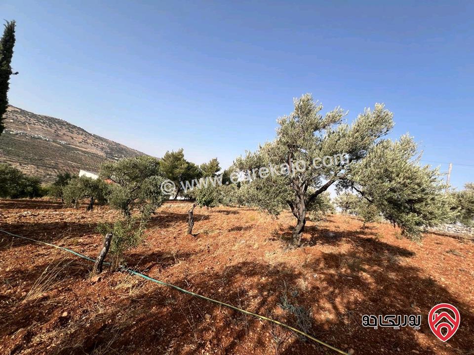 قطعة أرض ريفية مساحة 7 دونم للبيع في في جرش سوف حوض بيدر الحمص 