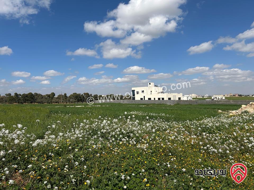 قطعة ارض مساحة 706م للبيع في عمان - منجا حوض جيعة العليق 