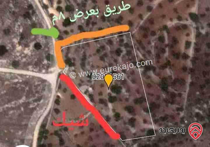 مزرعة مساحة 5304م للبيع في جرش - مقبلة اطلالة خلابة