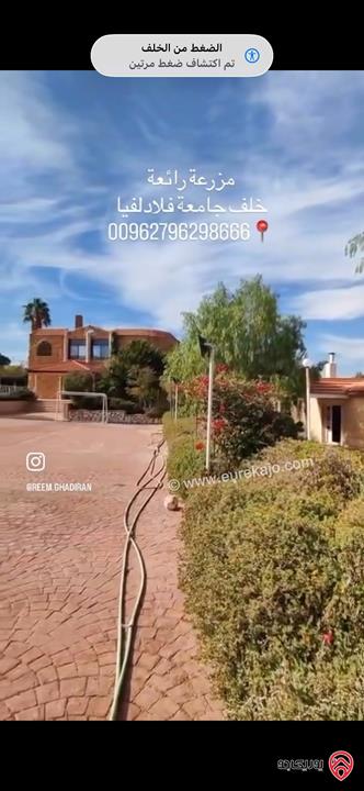 مزرعة فاخرة مساحة 5 دونم للبيع في جرش خلف جامعة فيلادلفيا منطقة تلعة الرز 