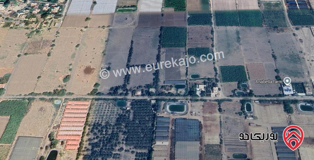 قطعة أرض مميزة مساحة 34 دونم للبيع في غور الرامة – أراضي الشونة الجنوبية