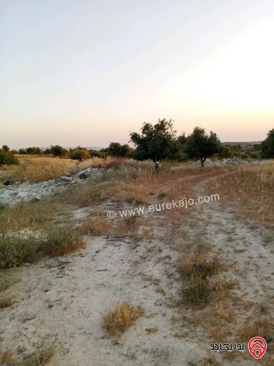أرض مساحة 753م على شارعين للبيع في عمان - ابو الغزلان اسكان الصيادلة