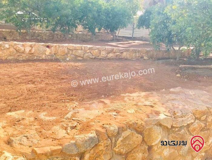 مزرعة وفيلا مفروشة بالكامل مساحة 300م على ارض 2 دونم و 368م للبيع في البحر الميت - جوفة الكفرين