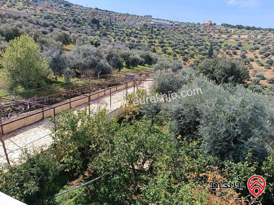مزرعة زيتون مساحة الأرض 8 دونم و 588م و البناء مساحة 100م للبيع في السلط