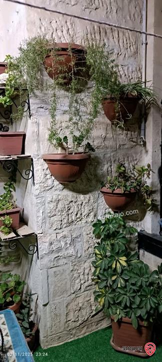 شقة طابق ثاني مساحة 130م للبيع في عمان - ضاحية الاستقلال