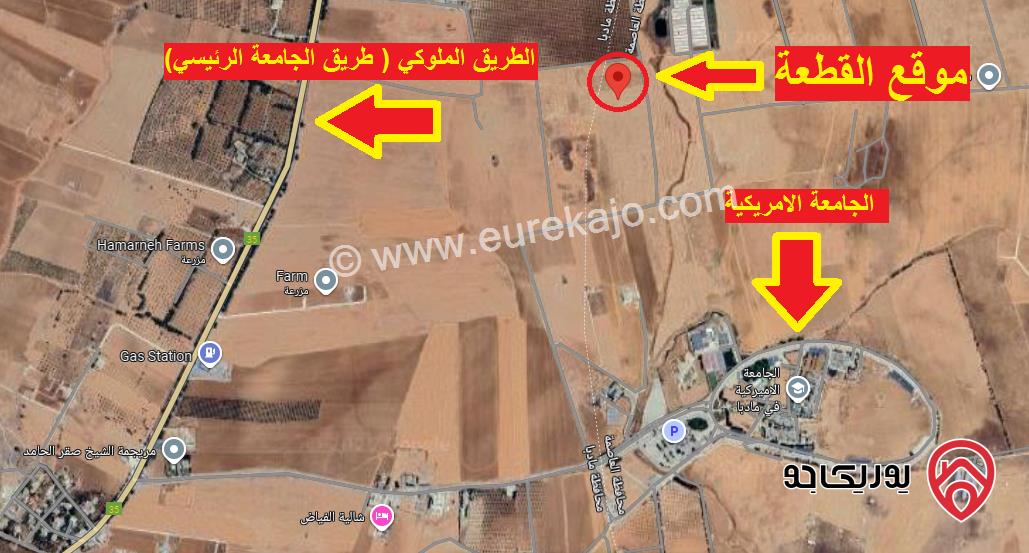 قطعة ارض زراعية تصلح للسكن أو  لعمل مزرعة او شاليه مساحة 7 دونم و 252م للبيع في مادبا بجانب الجامعة الامريكية 