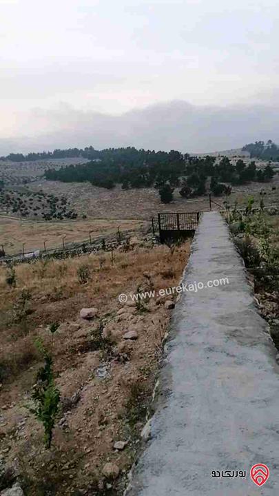 مزرعة مساحة 3400م للبيع في شرق جرش منطقة شاليهات عالية ومطلة