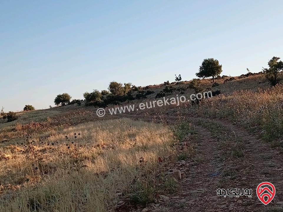 أرض مميزة مساحة 2 دونم للبيع في محافظة عجلون منطقة عنجرة / خربة الحنيش الأثرية 