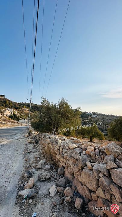 قطعة ارض مساحة 5 دونم و 856م للبيع في منطقة ماحص البلقاء منطقة قصور وفلل بجانب قصر الامير حسين ميرزا اطلالة غربية من المالك مباشرة 