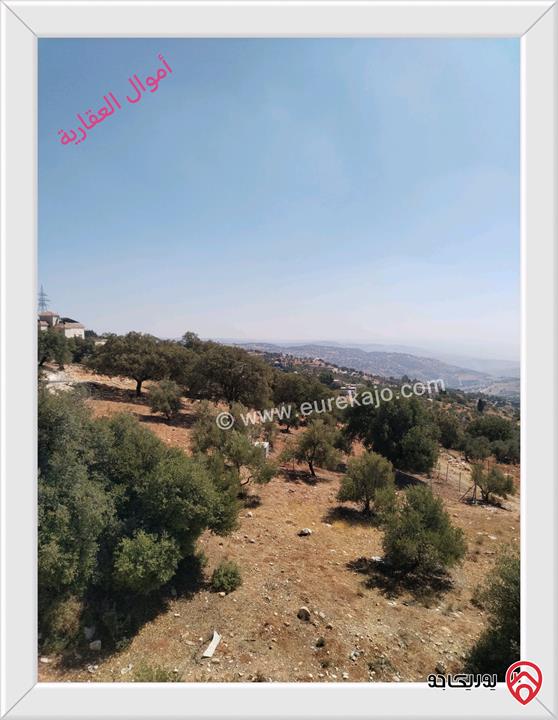 قطعة ارض مساحة 530م للبيع من أراضي غرب عمان - بدر الجديدة