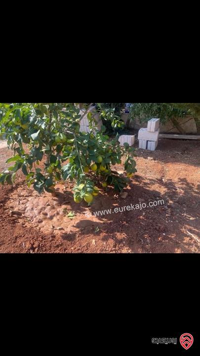 مزرعة مساحة الأرض 4220م مع بناء 160م للبيع في السلط 