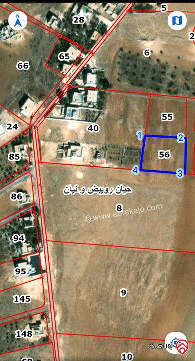 قطعة ارض مساحة 2 دونم و 11م للبيع في المفرق