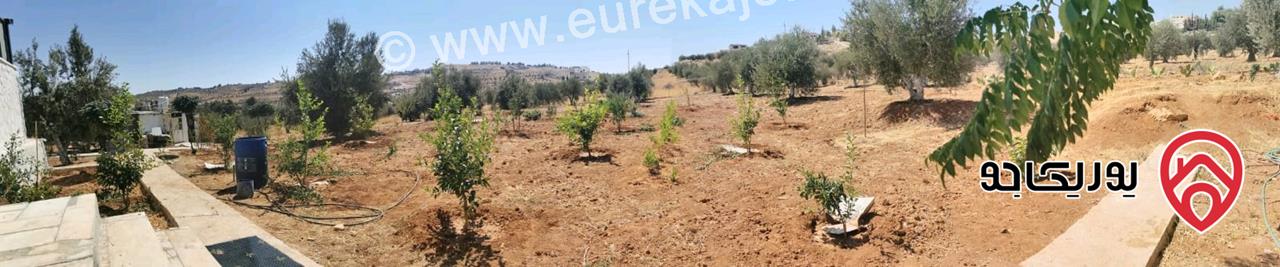 مزرعة مساحة الأرض 4 دونم و 500م والبناء 150م للبيع في المفرق - رحاب