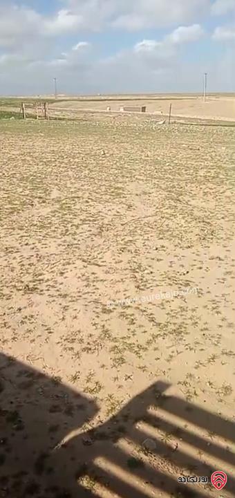 ارض خارج التنظيم مساحة 10 دونم للبيع في جنوب عمان - زينب الرواق