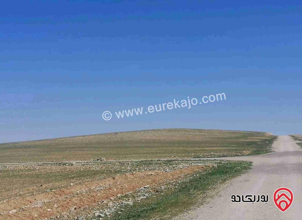 قطعة أرض نصف دنم للبيع بالمشتى أراضي جنوب عمان 