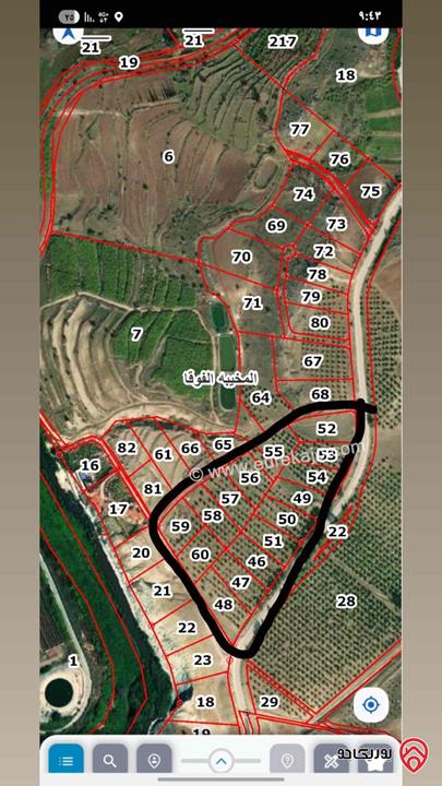 قطع أراضي أرقامهم من 46 - 60 بمساحات مختلفة للبيع في اربد ضمن اراضي بني كنانه المخيبه الفوقا حوض مارطه