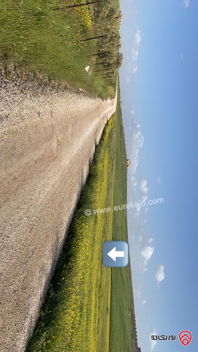 قطعة ارض مساحة 4 دونم للبيع من أراضي جنوب عمان - صوفا