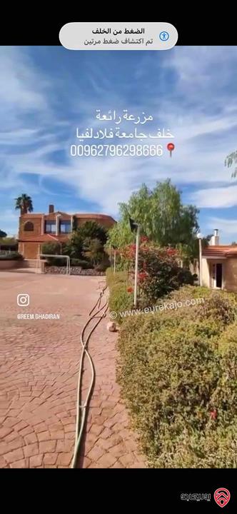 مزرعة فاخرة مساحة 5 دونم للبيع في جرش خلف جامعة فيلادلفيا منطقة تلعة الرز 