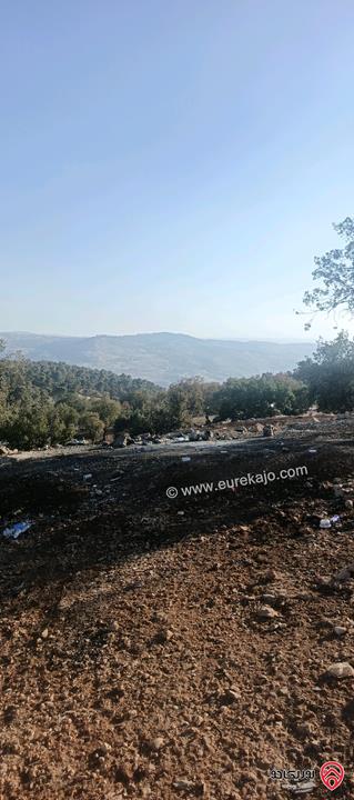 أرض مساحة 650متر للبيع في عمان - ابو السوس أسكان المهندسين