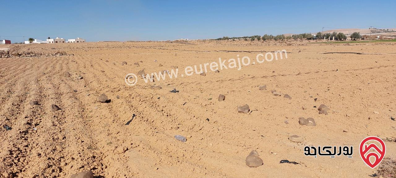 ارض مميزة مساحة 10 دونم و 949م للبيع في منطقة المفرق 