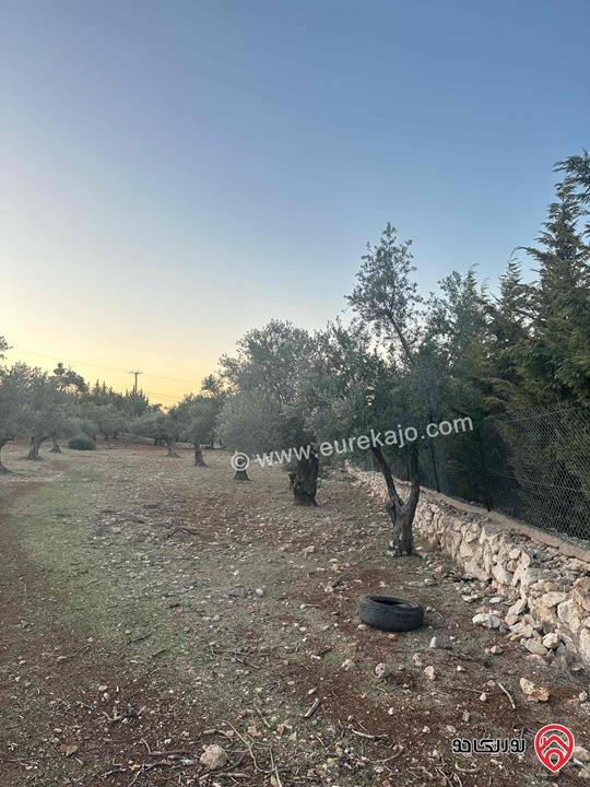 قطعة ارض مساحة 1 دونم و 720م للبيع في السلط زي منطقة مزارع وفلل مزروعة زيتون 