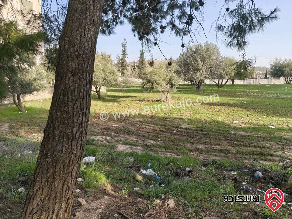 قطعتين أرض مساحة 2 دونم للبيع في عمان - مرج الحمام 