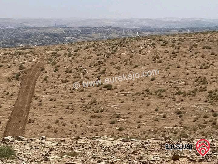 ارض مساحة 3 دونم و 400م قوشان مستقل بسعر مغري جداً للبيع في الزرقاء - شومر