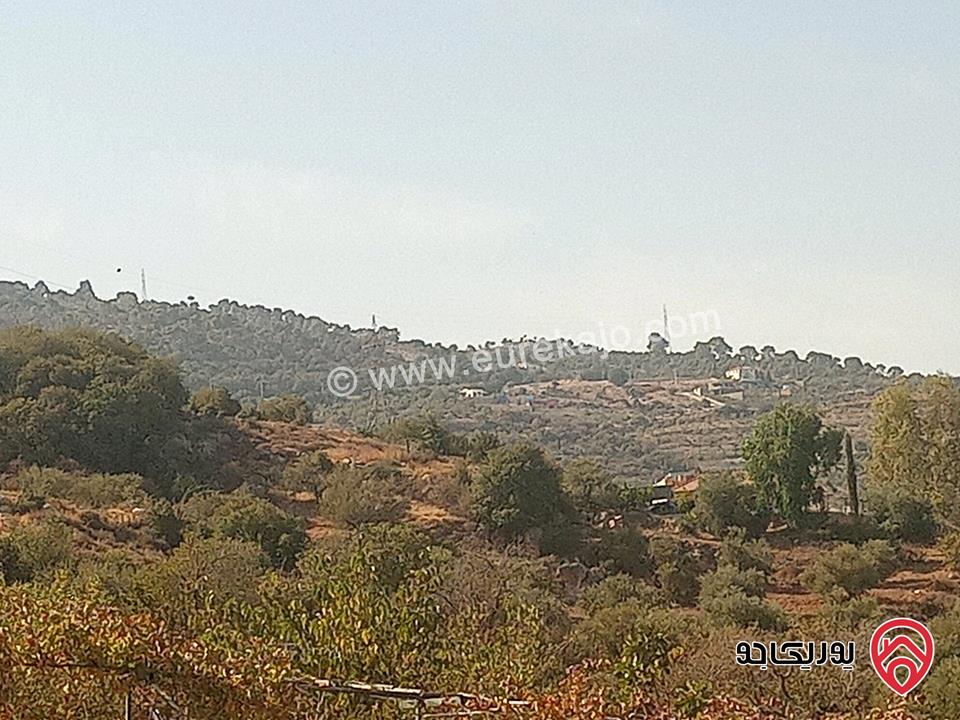 أرض مساحة 936م مميزة للبيع في السلط الصبيحي بيوضة تصلح سكن أو مزرعة أو شاليه خاص 