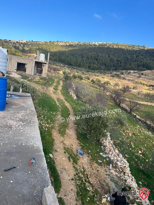 ارض مساحة 1 دونم و 982م للبيع في عجلون عنجرة سرابيس