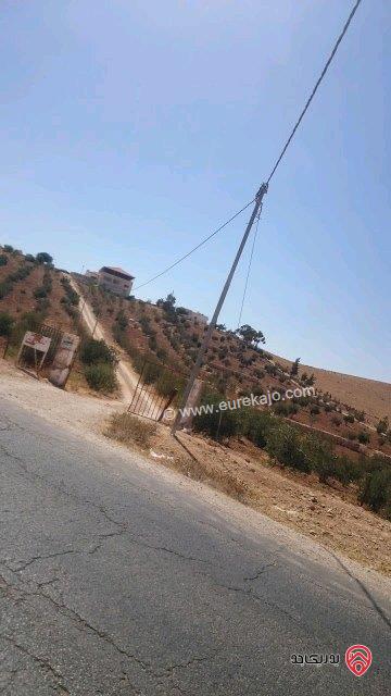 مزرعة مساحة الأرض 12 دونم و 500م مع فيلا 500م للبيع في المفرق - حيان المشرف