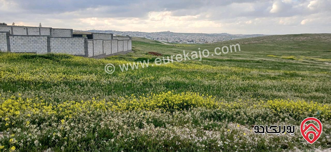 أرض مساحة 500م للبيع في عمان - الخشافية