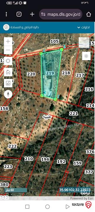 أرض مميزة مساحة 4 دونم و 950م للبيع في جرش - عنيبه تبعد فقط 1600م عن أوتوستراد الزرقاء