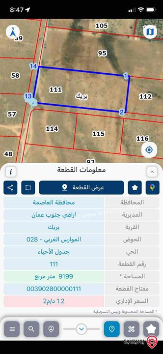 قطعة ارض مساحة 9 دونم و 199م للبيع من أراضي جنوب عمان - بريك 