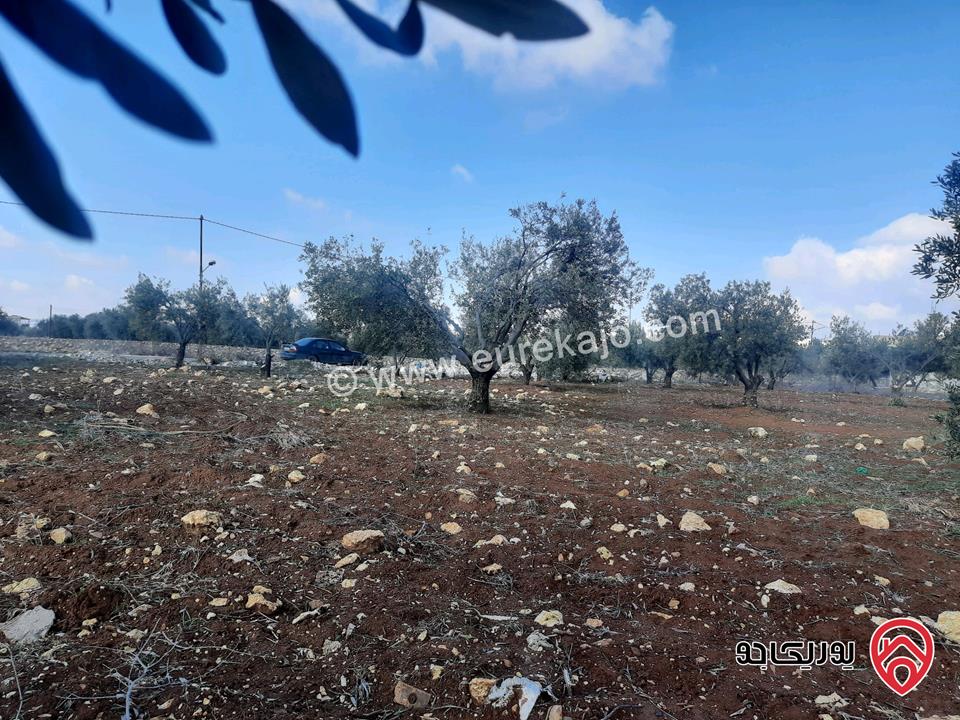 أرض مساحة 1 دونم و 74م للبيع في جرش سلحوب تبعد عن شارع الاردن تقريبا 2 كيلومتر، جميع الخدمات متوفرة ع شارع 12م