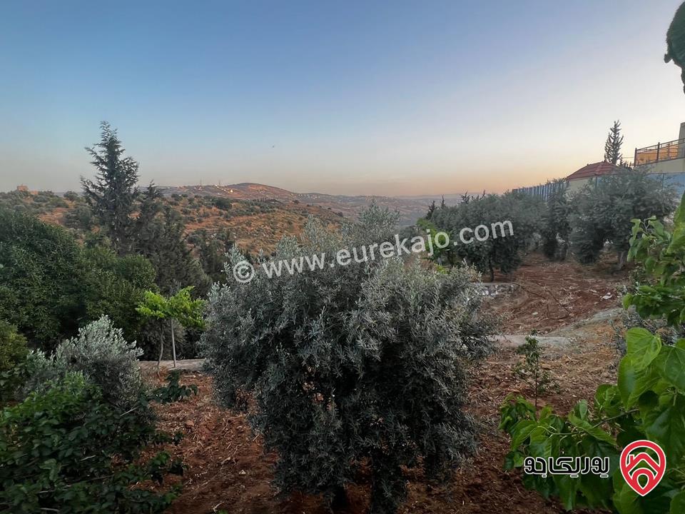 مزرعة فخمة مساحة 4 دونم و 595م وبناء 150م للبيع في جرش - الكتة