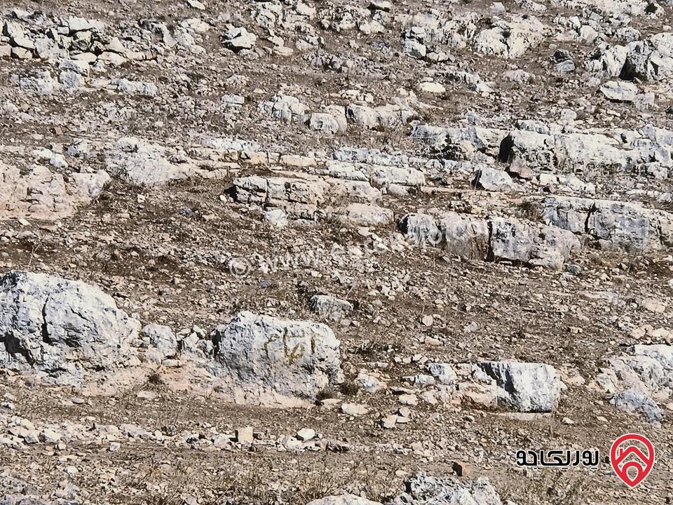 قطعة أرض مساحة 6 دونم و 172م للبيع في إربد لواء المزار الشمالي قرية صمد
