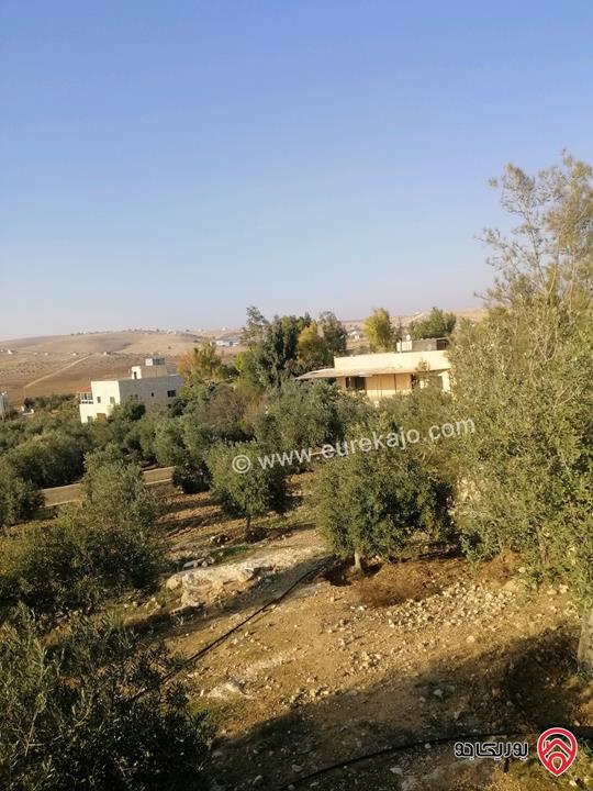 مزرعة مساحة الأرض 10 دونم والبناء 265م للبيع في مادبا منطقة مليح