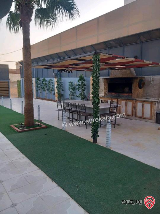 مزرعة للايجار اليومي في الرامة - البحر الميت 