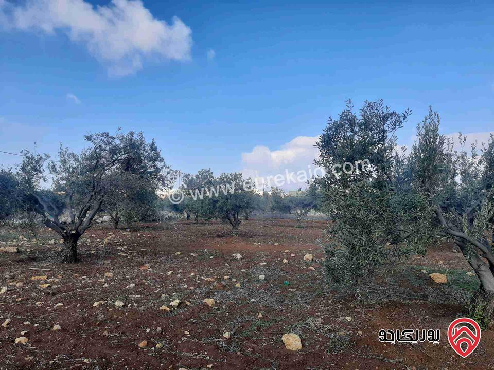 أرض مساحة 1 دونم و 74م للبيع في جرش سلحوب تبعد عن شارع الاردن تقريبا 2 كيلومتر، جميع الخدمات متوفرة ع شارع 12م