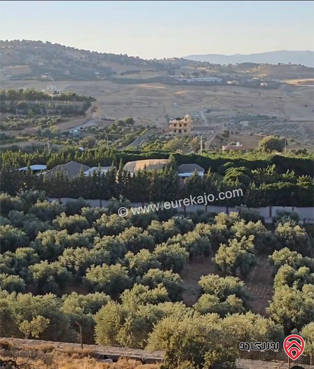 قطعة أرض مميزة جدا مساحة 5 دونم للبيع في السلط جلعاد 